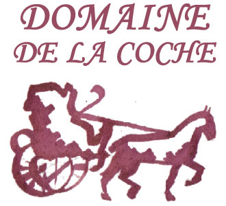 Coche